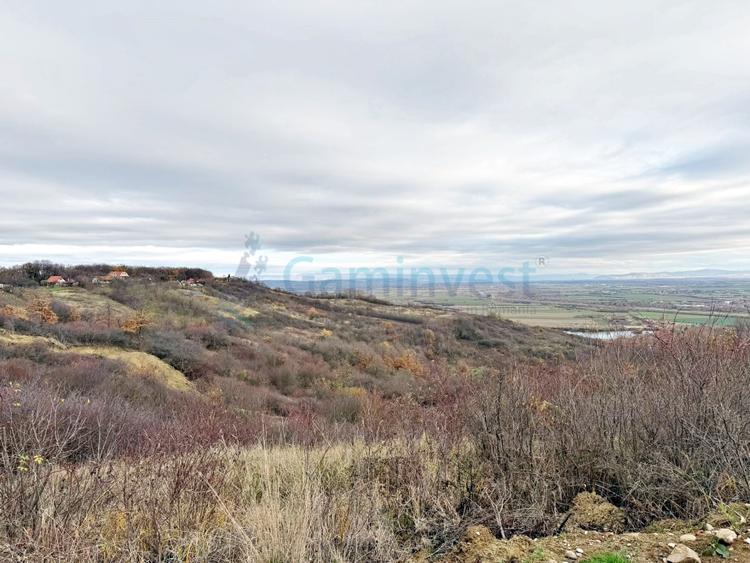 Parcela de teren extravilan, langa padure, zona Gheorghe Doja, Oradea - 3