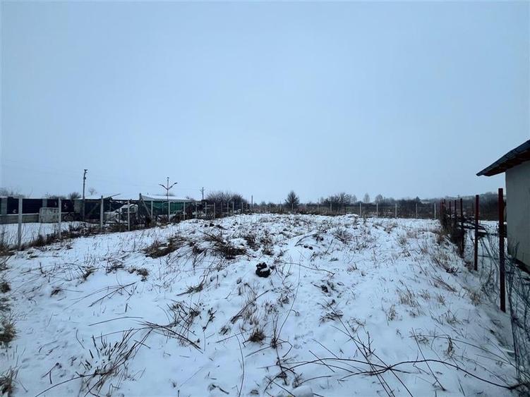 OPORTUNITATE TEREN INTRAVILAN CU PROIECT DE CASA, HARMAN - 1