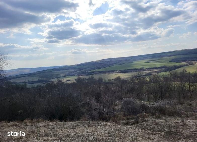 Teren 1 hectar cu casa - 5