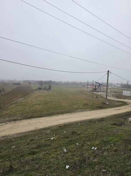 Teren Priseaca/Dragomiresti - 7