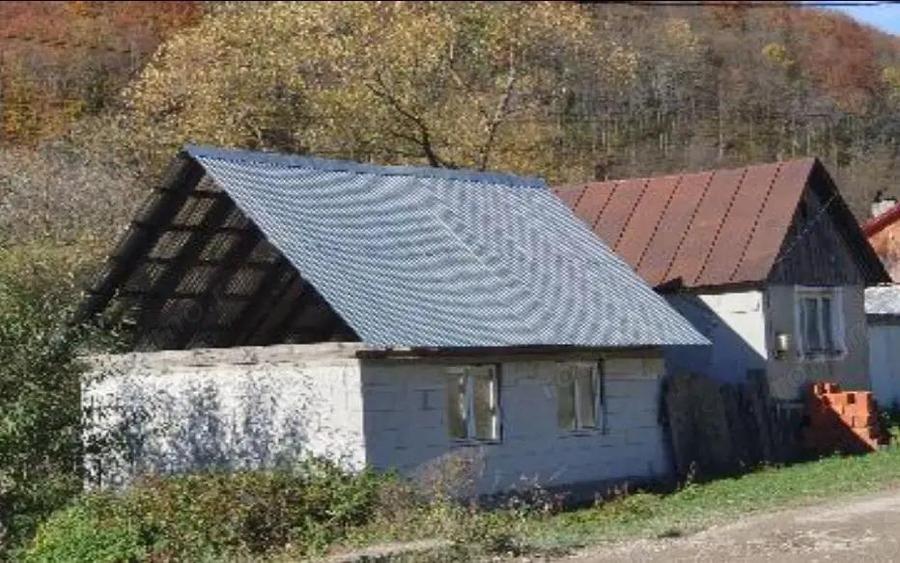 Casa si teren- Loc. Dognecea, jud. Caras-Severin - 1