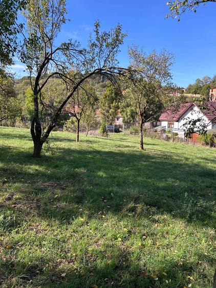 Vand teren in Suceagu, com. Baciu, jud. Cluj! - 1