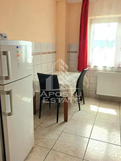 Apartamen doua camere Micalaca - 2