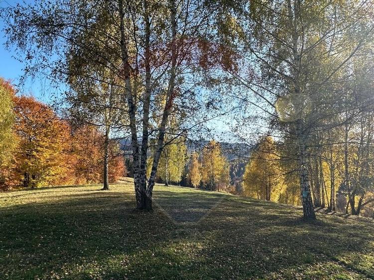 Oportunitate de investiție ! Teren de vis în Pestera - 125.370 mp - 31