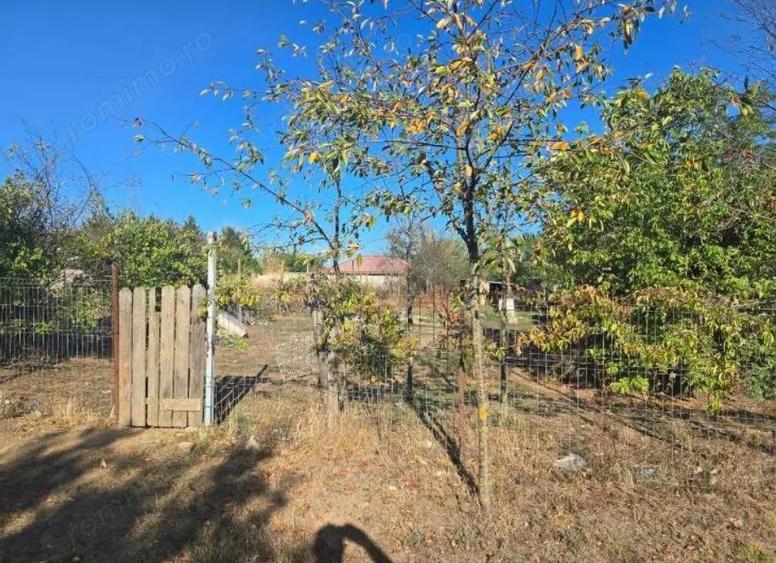 Casa si teren-Com Tamadau Mare, jud. Calarasi - 5