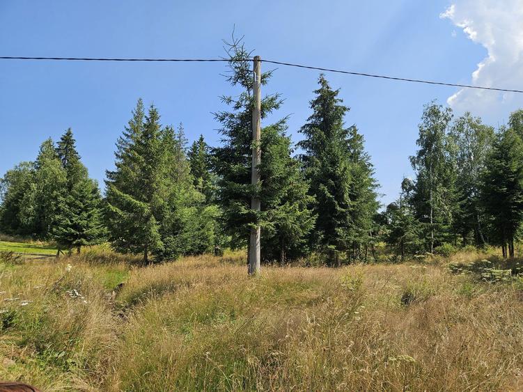 Teren Dealu Negru de vanzare, la 3 km de Belis - 6