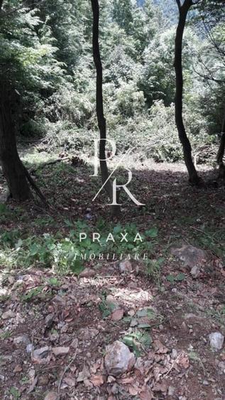 Teren de vanzare 10.000 mp/ parcelabil, cu utiitati, 4 euro/ mp! Maguri Racatau! - 16