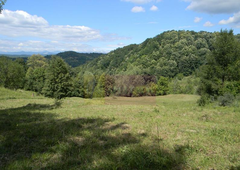 Teren intravilan de vanzare in Telega - 24