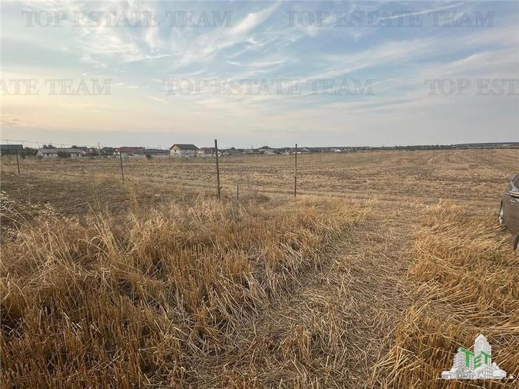 TEREN 2500MP BALACEANCA - 1