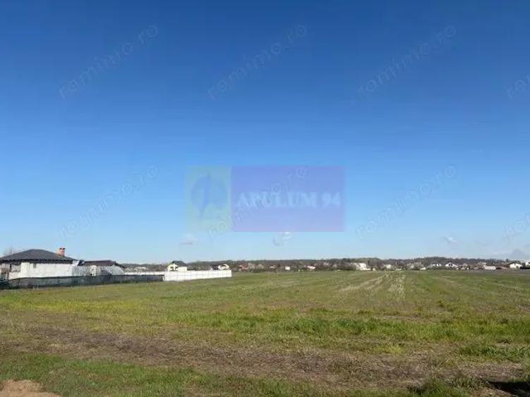 Teren Soseaua Clinceni- Ordoreanu stradal. - 3