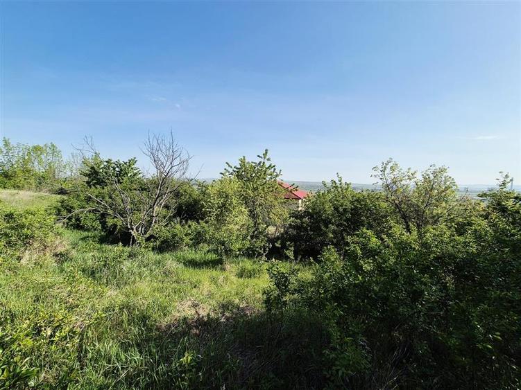 Teren pentru casa cu vedere frumoasa - 6