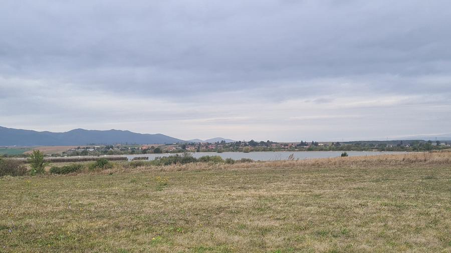 Teren agricol extravilan de 48100 mp, în Hălchiu