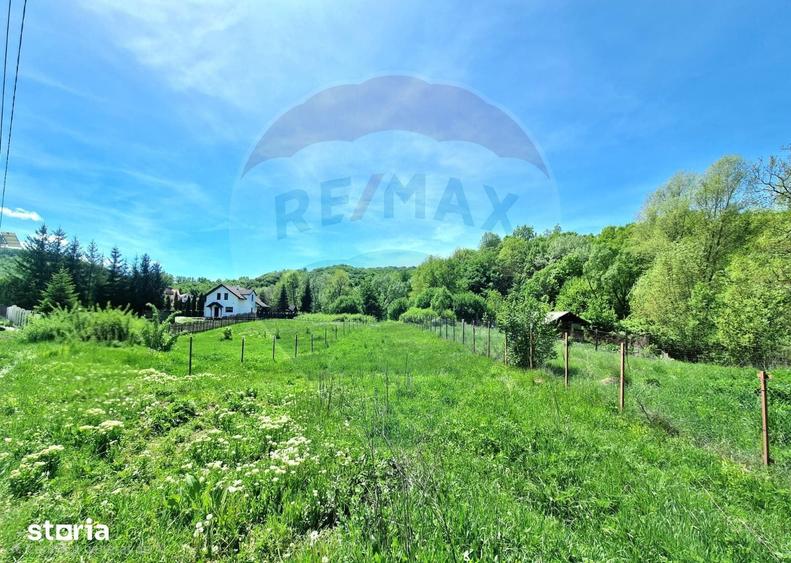 Teren de 8300 mp, în Mărgineni