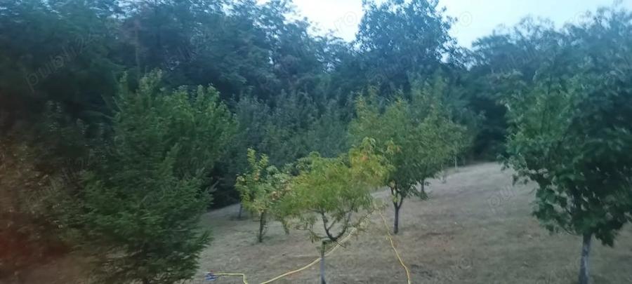 Casă cu Teren 2800 Mp în Văleni