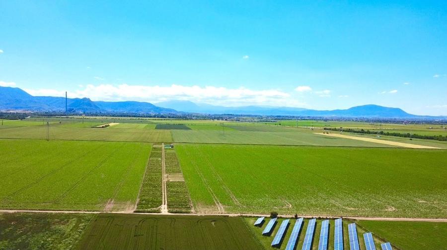 Teren agricol extravilan de 225 mp, în Hărman