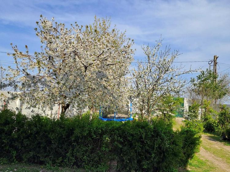 Casă cu 4 camere în Potlogi