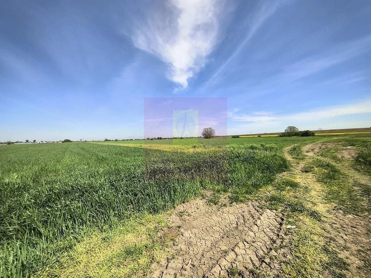 Teren de 2200 mp, în Dărăști-Ilfov