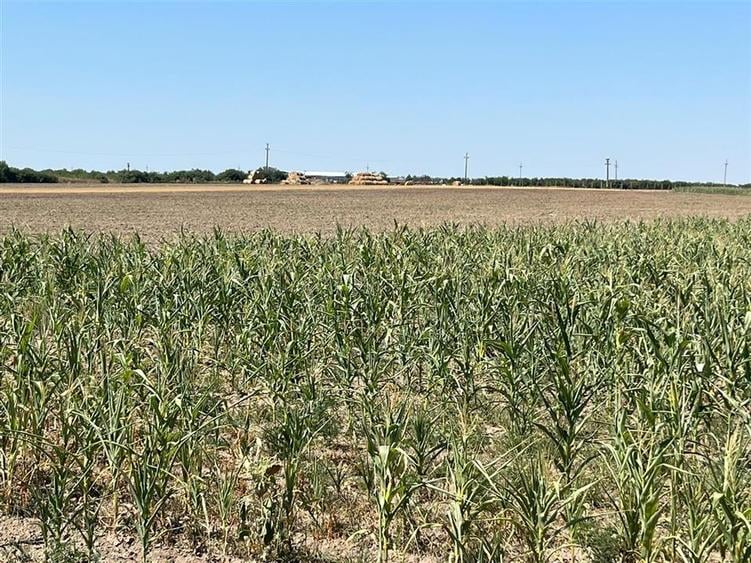 Teren agricol extravilan de 18100 mp, în Tinca