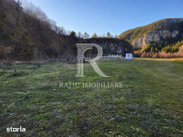 Teren intravilan | Loc de cabana | Balnaca | Bihor - 3