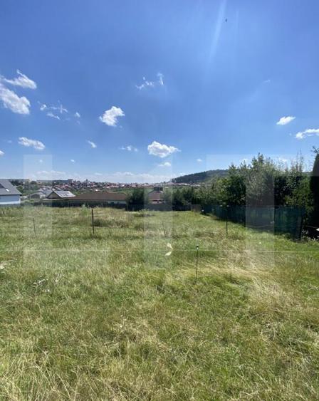 Teren intravilan de vanzare, 611 mp Strada Borviz - 1