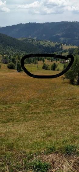 Vand casa batraneasca locuibila, in zona de munte, Apuseni&Teren Pret:3euro m 6400m, com. Scarisoara - 1