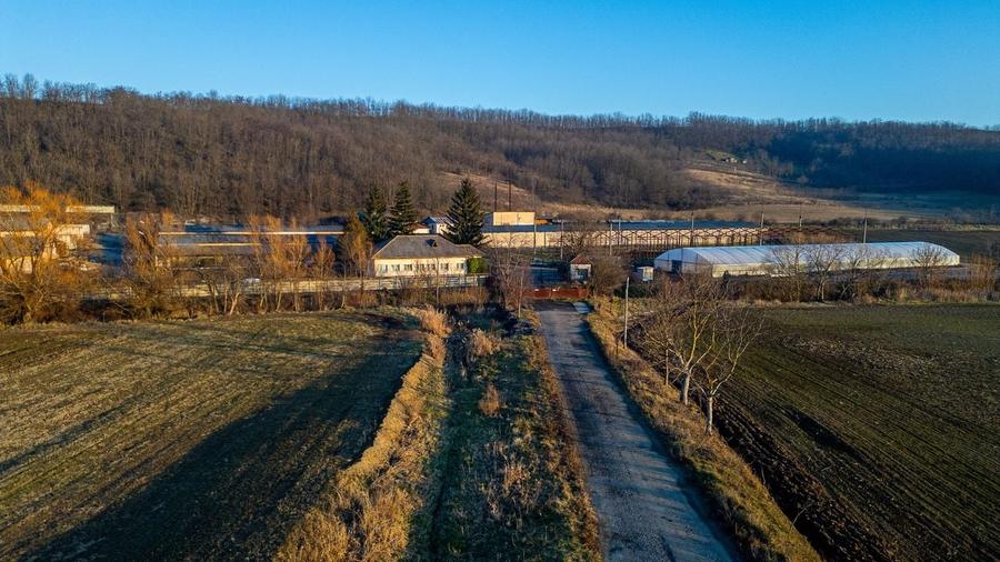 Fosta Ferma a Partidului de la Horgesti - de vanzare - 13