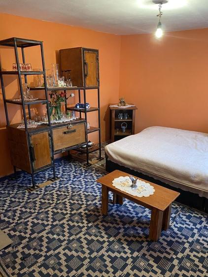 Inchiriez casa Craiova zona Romanesti - 4