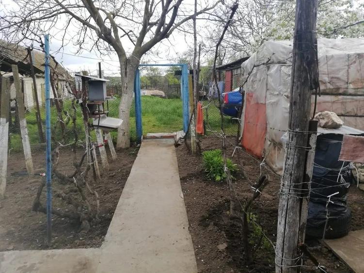 Casa de vanzare balabancea,tulcea - 3