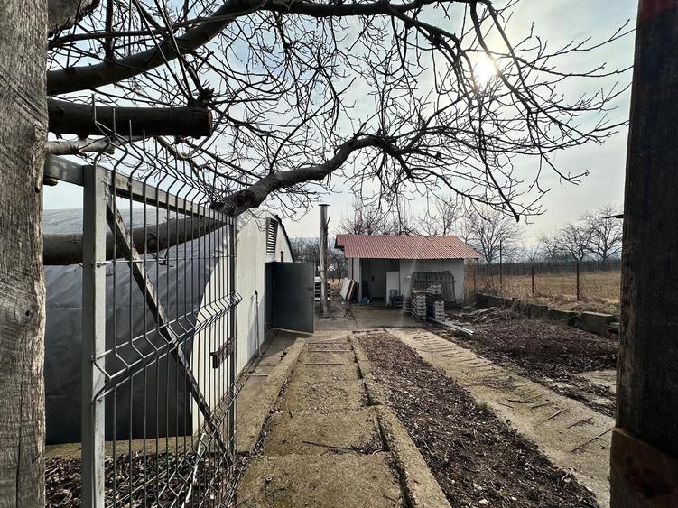 Hala/ cort ciupercarie, crestere pui, 400mp, Dumesti - 9