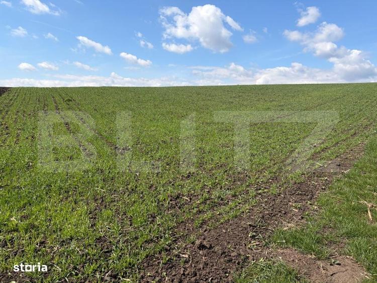 Teren extravilan, 3900 mp, zona Cumparatura - 1