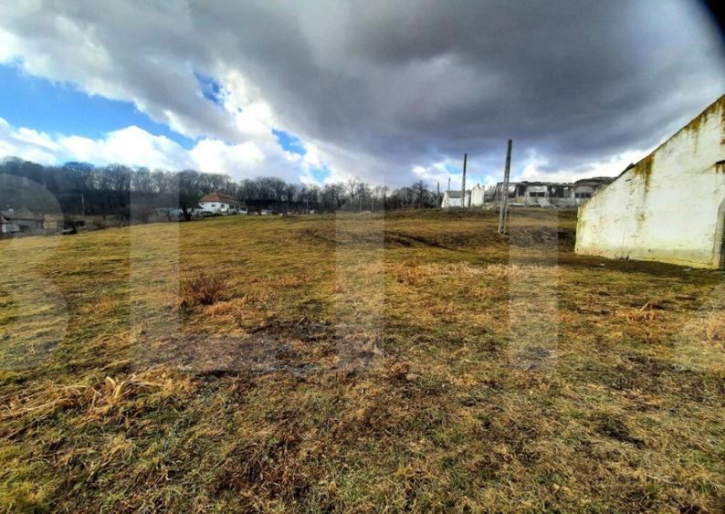 Ferma in intravilanul comunei Cojocna, 5 Ha cu hale - 5