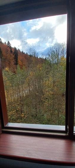 Apartament generos de 2 camere-Sinaia, zona Izvor - 14