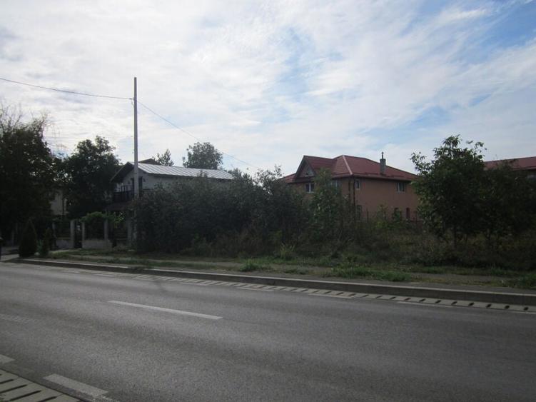 Domnesti Ciutaci-Zorelelor - 11