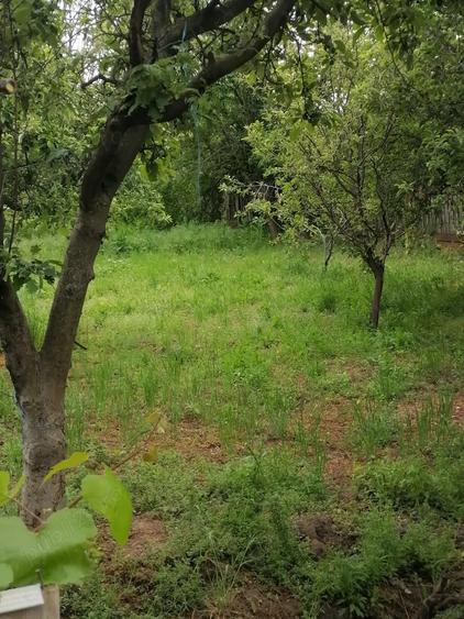 vand casa Bugeac,com Ostrov,jud Constanta 70.000 lei - 6