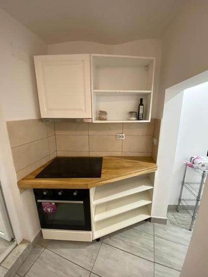 Parcul Carol, apartament in vila, parter, 6 camere, 4 bai, 2 bucatarii, pt birou - 9