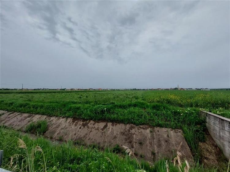 Teren intravilan in apropiere de Via Carmina, Vladimirescu - 2