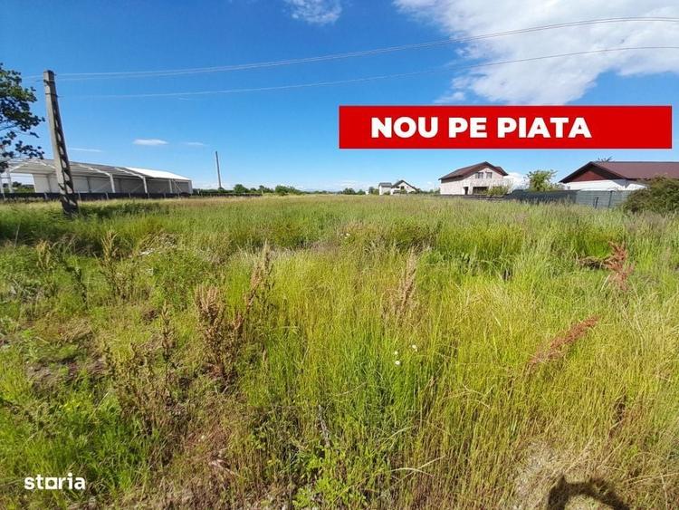 Spațiu comercial, în Bradu