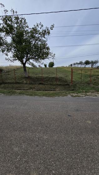 Teren intravilan cu livada, 1500 mp, cu utilitati Cordau - 4