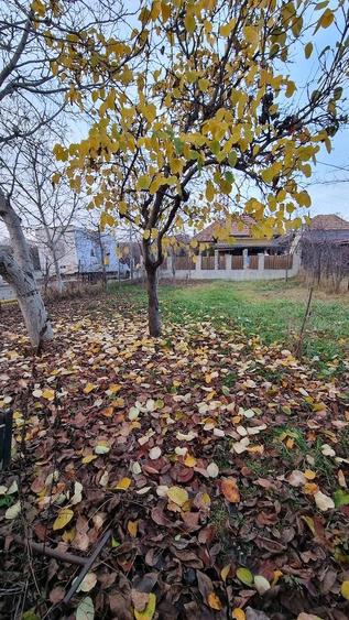 Casa de vanzare Someseni - 7