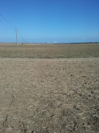 Exclusiv! Teren extravilan 10.000 mp - Cumpana - Malul canalului (Cod E3) - 9