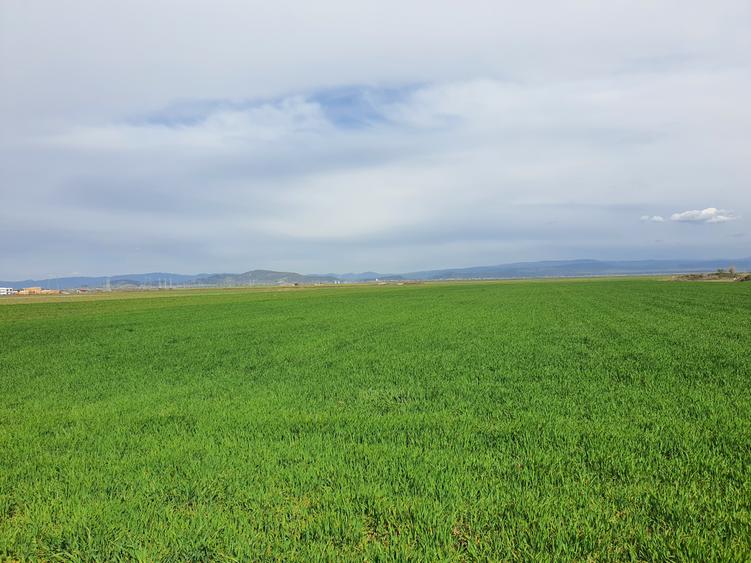 Teren Brasov-Tarlungeni zona Izvor pretabil investitii - 3