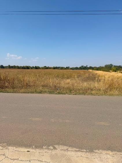 Corbeanca 5000mp - 10