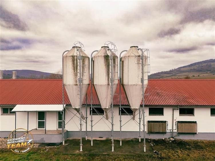 FILM! Ferma de iepuri,Malnas,Covasna: domeniu:comercial/industrial,asset UE - 8