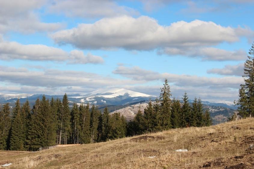 Teren excelent pentru dezvoltare imobiliara, pensiune, case de vacanta, tabara - 1