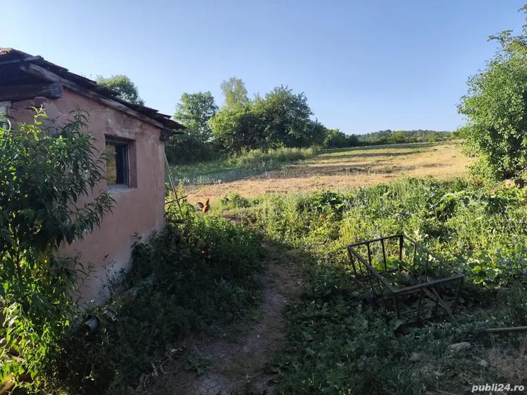 Casa ?i gradina de vanzare in Silva?u de Jos - Ha?eg HD. Rog citi?i descriere anun?ului ! 75 000 EU - 5