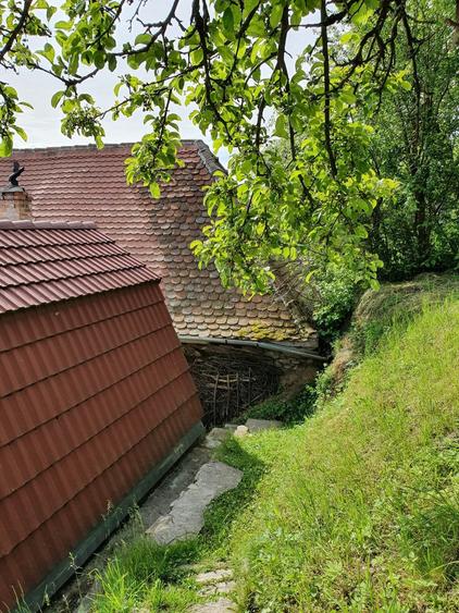 Vind vila in satul ROD- Pe drumul TRANSALPINA - 2