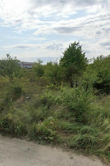 Afumati   Vanzare Teren extravilan  10 000mp - 3