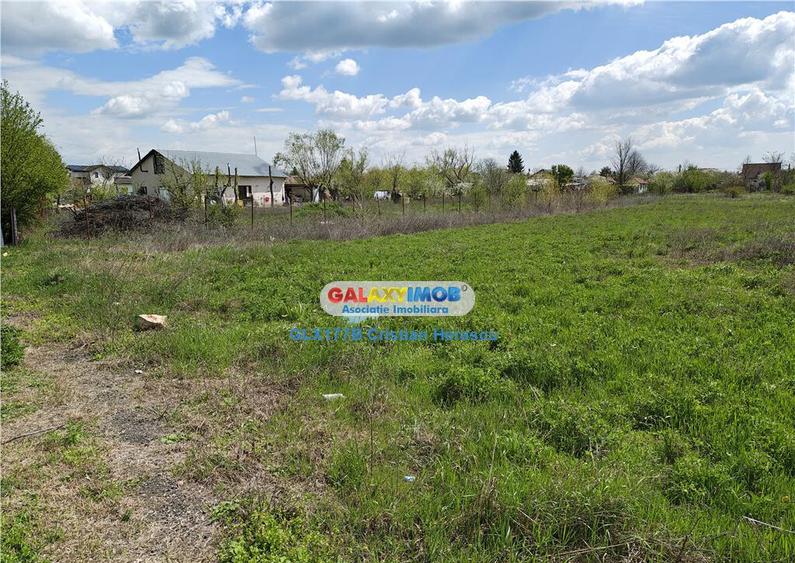 Teren constructii Buftea 2307 MP deschidere 27 ml - 13