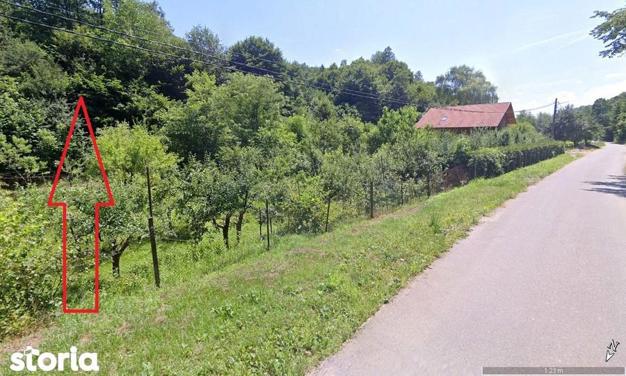 1.413mp extravilan Valea Ve?elului zona retrasa - 8