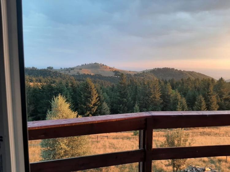 Casa individuala cu teren zona Paltinis - 7